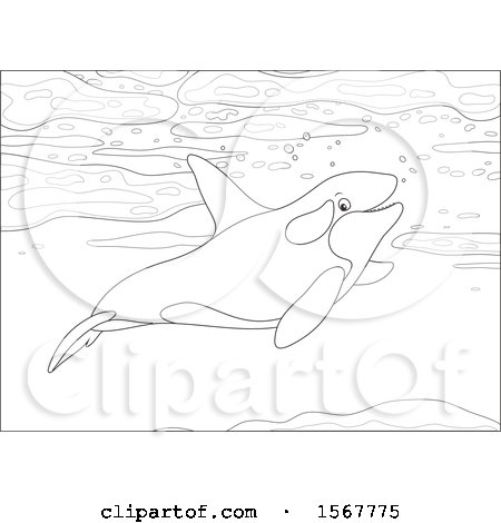 Clipart of a Lineart Killer Whale Orca Swimming in the Ocean - Royalty Free Vector Illustration by Alex Bannykh