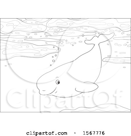 Clipart of a Lineart Beluga Whale Swimming in the Ocean - Royalty Free Vector Illustration by Alex Bannykh
