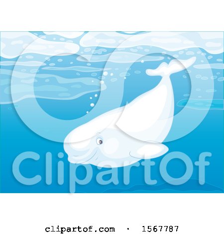 Clipart of a Beluga Whale Swimming in the Ocean - Royalty Free Vector Illustration by Alex Bannykh