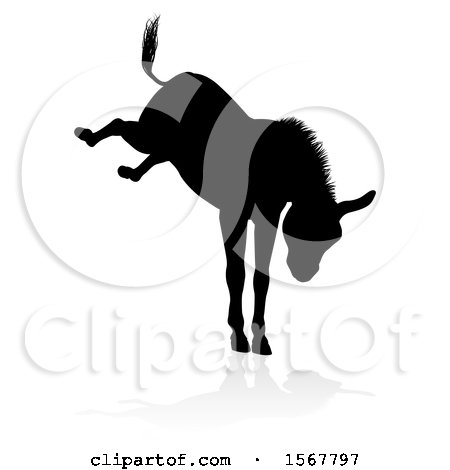 Clipart of a Black Silhouetted Donkey Bucking, with a Reflection or Shadow, on a White Background - Royalty Free Vector Illustration by AtStockIllustration