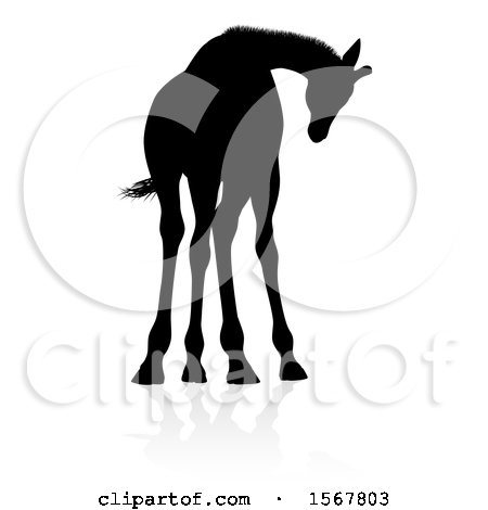 Clipart of a Silhouetted Giraffe, with a Reflection or Shadow - Royalty Free Vector Illustration by AtStockIllustration