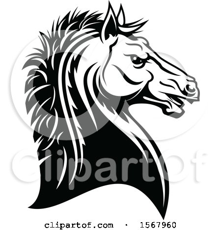 Clipart of a Black and White Tough Stallion - Royalty Free Vector Illustration by Vector Tradition SM