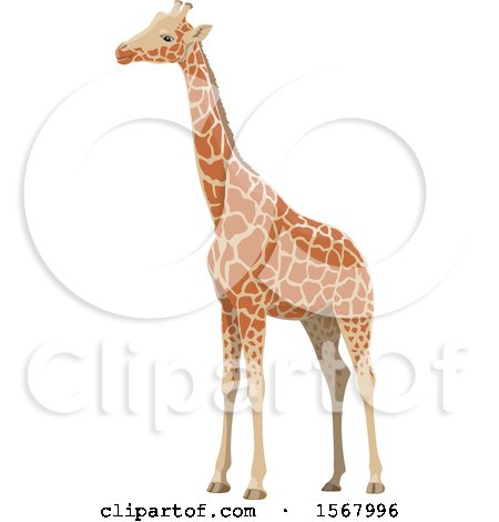 Clipart of a Giraffe - Royalty Free Vector Illustration by Vector Tradition SM