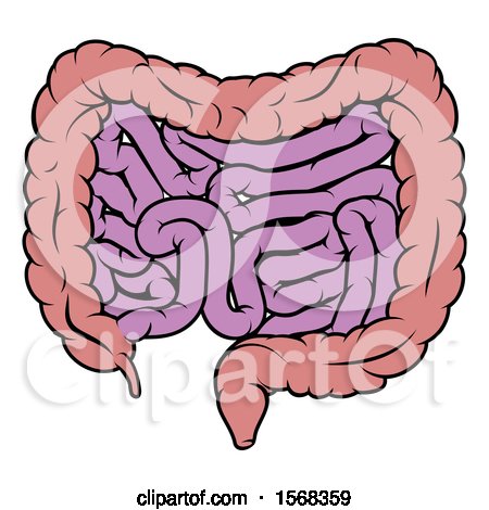 Clipart of a Human Digestive System Showing the Gastrointestinal Tract - Royalty Free Vector Illustration by AtStockIllustration