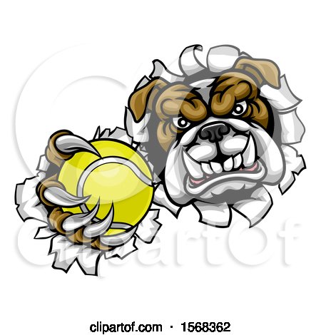 Clipart of a Tough Bulldog Monster Sports Mascot Holding out a Tennis Ball in One Clawed Paw and Breaking Through a Wall - Royalty Free Vector Illustration by AtStockIllustration