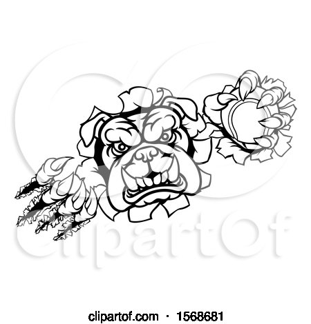 Clipart of a Black and White Tough Bulldog Monster Sports Mascot Holding out a Tennis Ball in One Clawed Paw and Breaking Through a Wall - Royalty Free Vector Illustration by AtStockIllustration