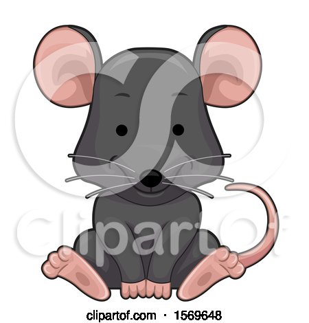 Clipart of a Cute Sitting Rat - Royalty Free Vector Illustration by BNP Design Studio