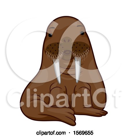 Clipart of a Cute Sitting Walrus - Royalty Free Vector Illustration by BNP Design Studio
