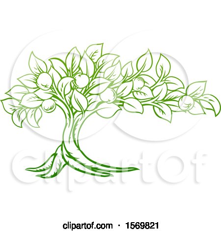 Clipart of a Green Apple Tree Design - Royalty Free Vector Illustration by AtStockIllustration