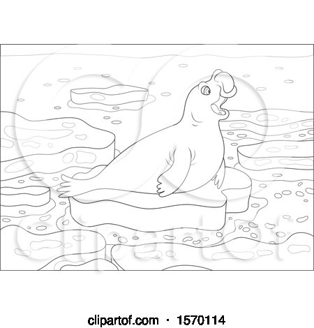Clipart of a Lineart Cute Elephant Seal on an Ice Floe - Royalty Free Vector Illustration by Alex Bannykh