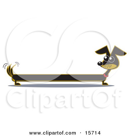 Very Long Dachshund Dog Looking Back at His Tail Clipart Illustration by Andy Nortnik