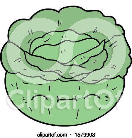 Cartoon Cabbage by lineartestpilot