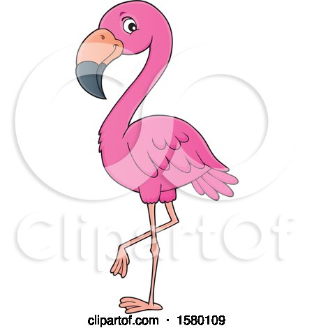 Clipart of a Pink Flamingo Bird - Royalty Free Vector Illustration by visekart