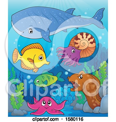 Clipart of Cute Sea Creatures - Royalty Free Vector Illustration by visekart