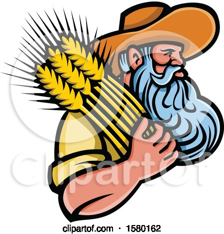 Clipart of a Bearded Senior Male Farmer Holding Wheat - Royalty Free Vector Illustration by patrimonio