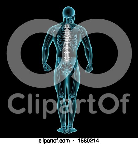 Clipart of a 3d Xray Man with Visible Spine, on Blue and Black - Royalty Free Illustration by KJ Pargeter