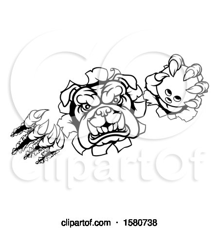 Clipart of a Black and White Tough Bulldog Monster Sports Mascot Holding out a Bowling Ball in One Clawed Paw and Breaking Through a Wall - Royalty Free Vector Illustration by AtStockIllustration
