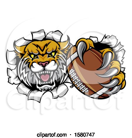 Clipart of a Vicious Wildcat Mascot Breaking Through a Wall with a Football - Royalty Free Vector Illustration by AtStockIllustration