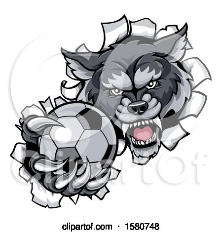 Clipart of a Tough Wolf Monster Mascot Holding out a Soccer Ball in One Clawed Paw and Breaking Through a Wall - Royalty Free Vector Illustration by AtStockIllustration