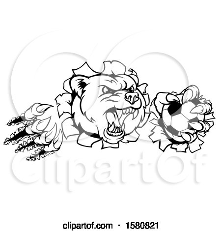 Clipart of a Black and White Vicious Aggressive Bear Mascot Slashing Through a Wall with a Soccer Ball in a Paw - Royalty Free Vector Illustration by AtStockIllustration