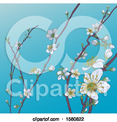 Clipart of a Background of Branches with Spring Blossoms over Blue Sky - Royalty Free Vector Illustration by AtStockIllustration