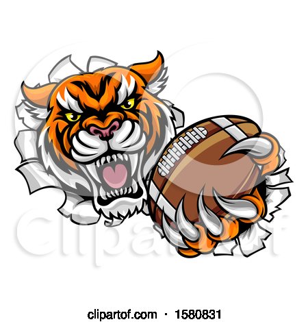 Clipart of a Vicious Tiger Mascot Breaking Through a Wall with a Football - Royalty Free Vector Illustration by AtStockIllustration