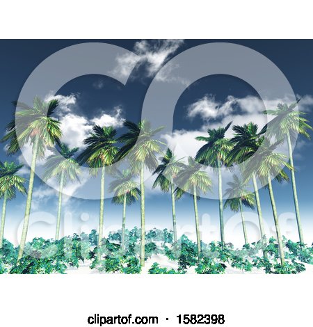 Clipart of a 3d Cloudy Sky with Foliage and Palm Trees - Royalty Free Illustration by KJ Pargeter