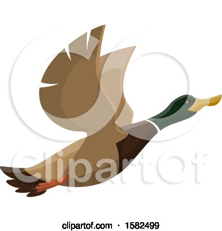 Clipart of a Flying Mallard Duck - Royalty Free Vector Illustration by Vector Tradition SM