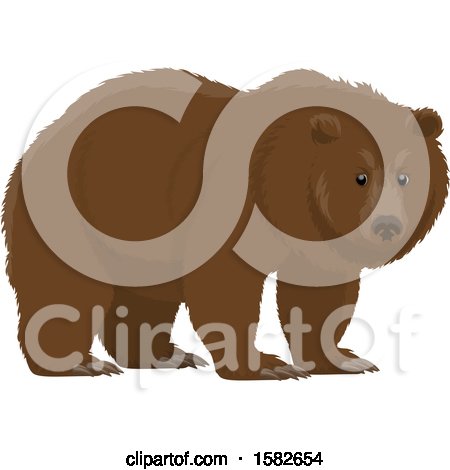 Clipart of a Bear - Royalty Free Vector Illustration by Vector Tradition SM