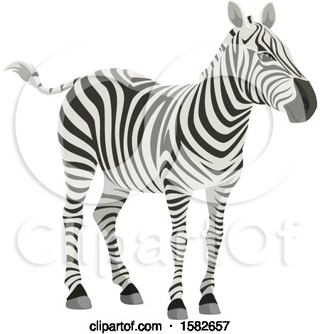 Clipart of a Zebra - Royalty Free Vector Illustration by Vector Tradition SM