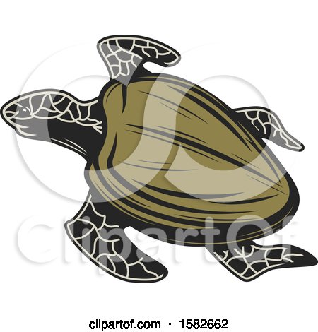 Clipart of a Sea Turtle - Royalty Free Vector Illustration by Vector Tradition SM