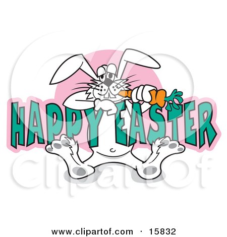 Silly White Easter Bunny Eating A Carrot While Hanging Onto Text Reading Happy Easter Clipart Illustration by Andy Nortnik