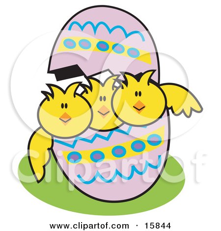 Three Baby Chicks Peeping Out Of A Colorful Easter Egg Clipart Illustration by Andy Nortnik