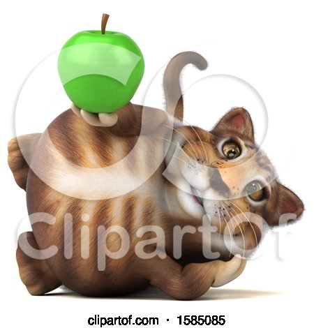 download the new version for apple Cat Condo