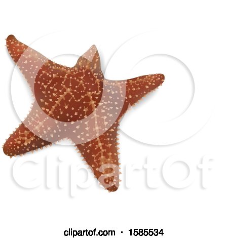 Clipart of a 3d Starfish, on a White Background - Royalty Free Vector Illustration by dero