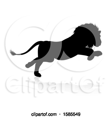 Clipart of a Silhouetted Male Lion, with a Reflection or Shadow, on a White Background - Royalty Free Vector Illustration by AtStockIllustration