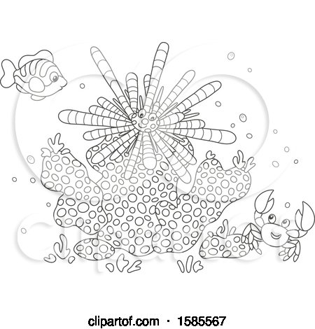 Clipart of a Lineart Group of Reef Sea Creatures - Royalty Free Vector Illustration by Alex Bannykh