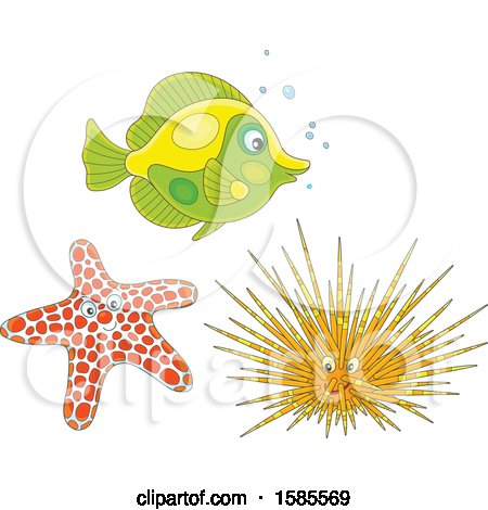 Clipart of a Fish, Starfish and Sea Urchin - Royalty Free Vector Illustration by Alex Bannykh