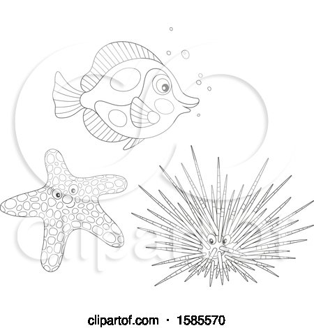Clipart of a Lineart Fish, Starfish and Sea Urchin - Royalty Free Vector Illustration by Alex Bannykh