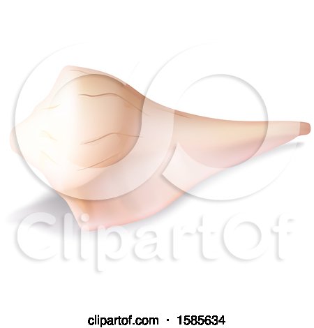 Clipart of a 3d Sea Shell, on a White Background - Royalty Free Vector Illustration by dero