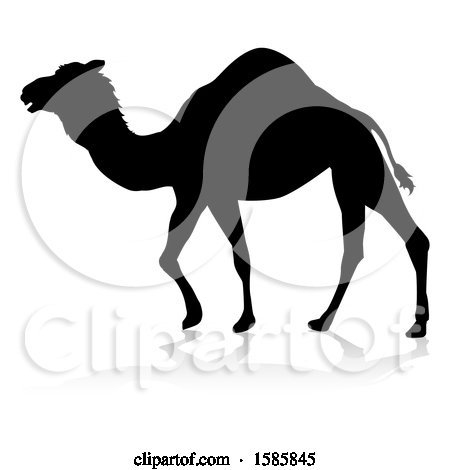 Clipart of a Silhouetted Camel, with a Reflection or Shadow, on a White Background - Royalty Free Vector Illustration by AtStockIllustration