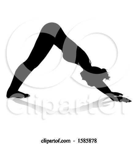 Woman Exercising Image & Photo (Free Trial) | Bigstock