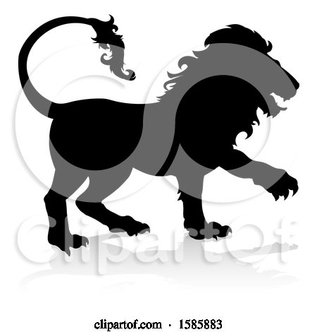 Clipart of a Silhouetted Male Lion, with a Reflection or Shadow, on a White Background - Royalty Free Vector Illustration by AtStockIllustration