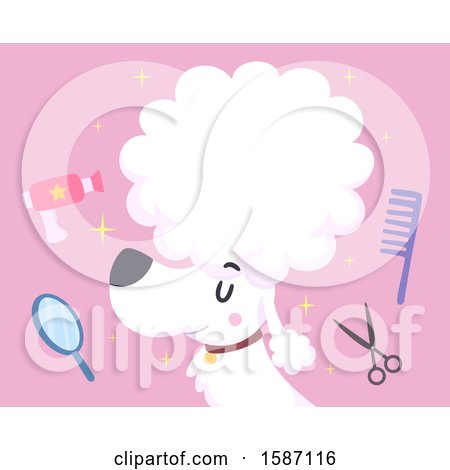 Clipart of a Fancy Poodle Dog with Grooming Tools on Pink - Royalty Free Vector Illustration by BNP Design Studio