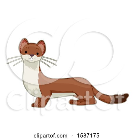 Clipart of a Cute Stout or an Ermine - Royalty Free Vector Illustration by BNP Design Studio