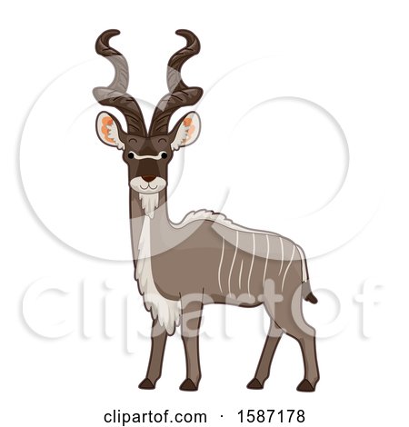 Clipart of an Alert Kudu - Royalty Free Vector Illustration by BNP Design Studio