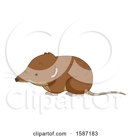 Clipart of a Cute Shrew - Royalty Free Vector Illustration by BNP Design Studio