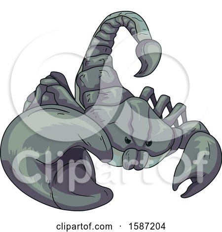 Clipart of a Tough Scorpion - Royalty Free Vector Illustration by BNP Design Studio