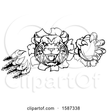Clipart of a Black and White Vicious Wildcat Mascot Breaking Through a Wall with a Football - Royalty Free Vector Illustration by AtStockIllustration