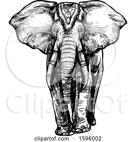 Clipart of a Black and White Sketched Elephant - Royalty Free Vector Illustration by Vector Tradition SM